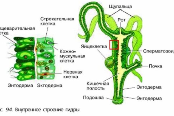 Кракен драг