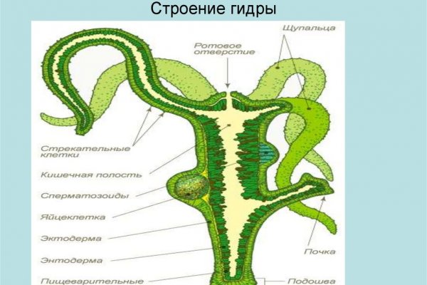 Рабочие ссылки и зеркала кракен