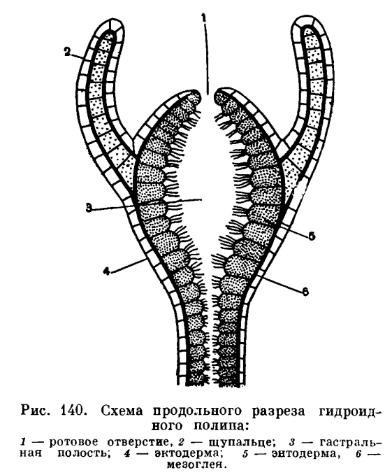 Кракен марихуана